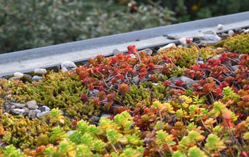 the cost of Hollacombe Hill green roof installation